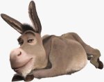 donkey